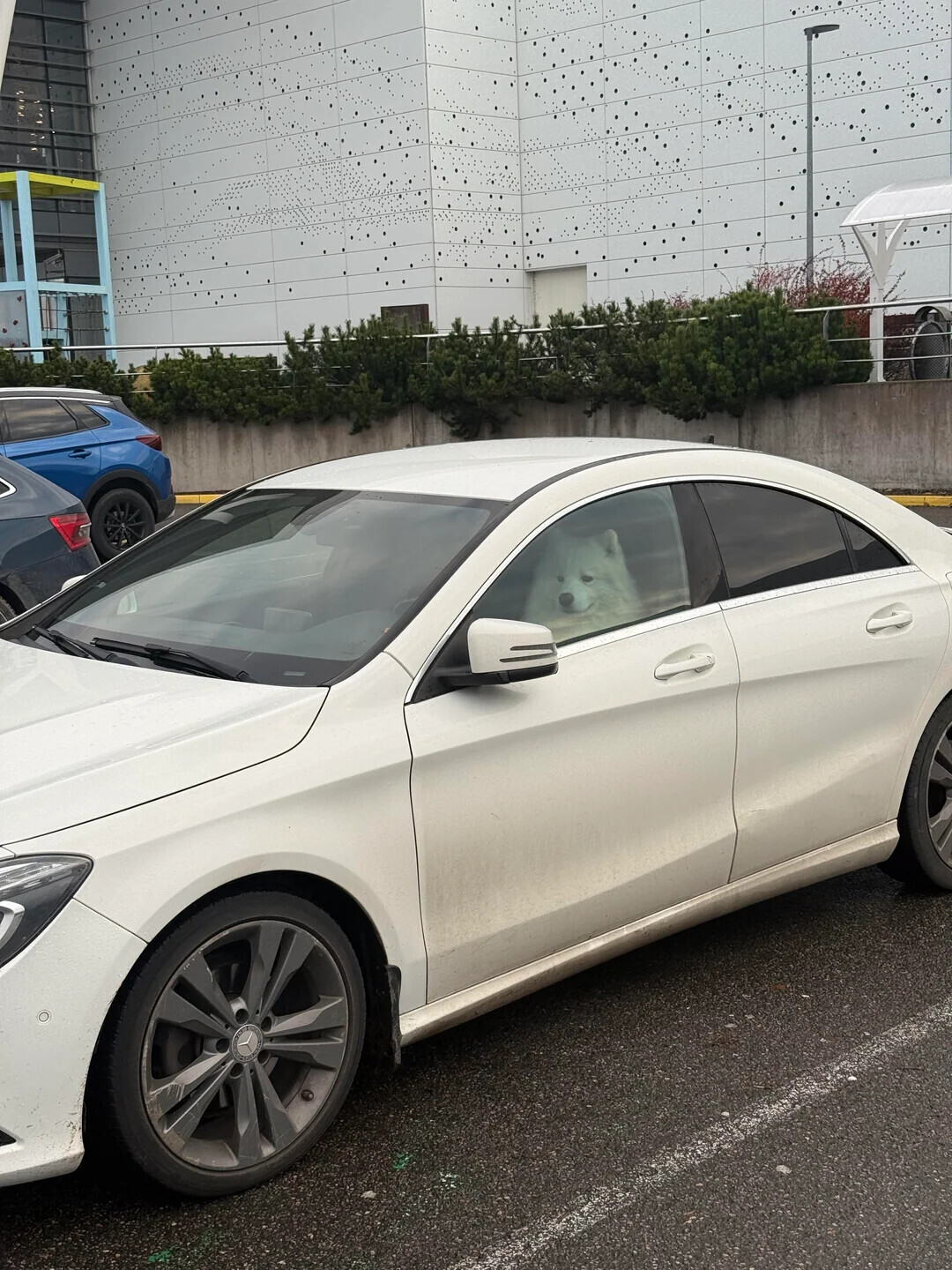 Uncommon Shots From Everyday Life That Look Normal