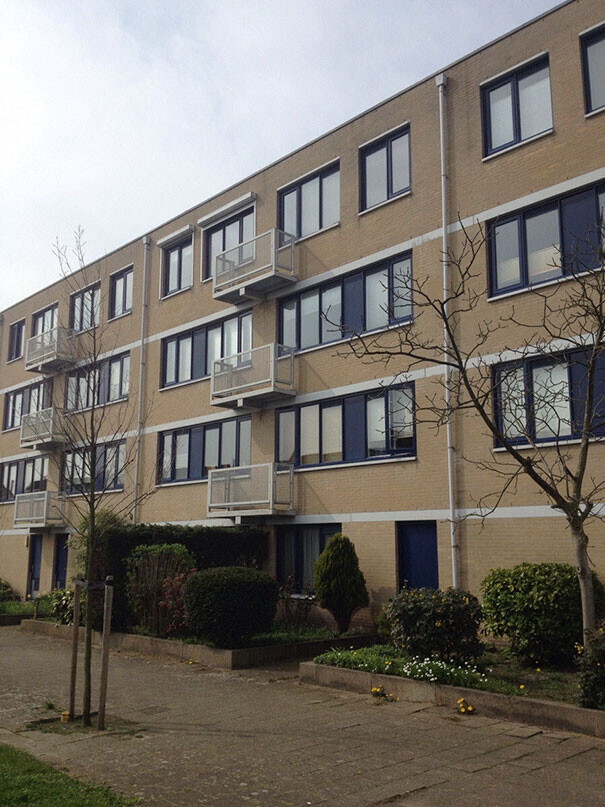 Useless Things Humans Built for No Good Reason