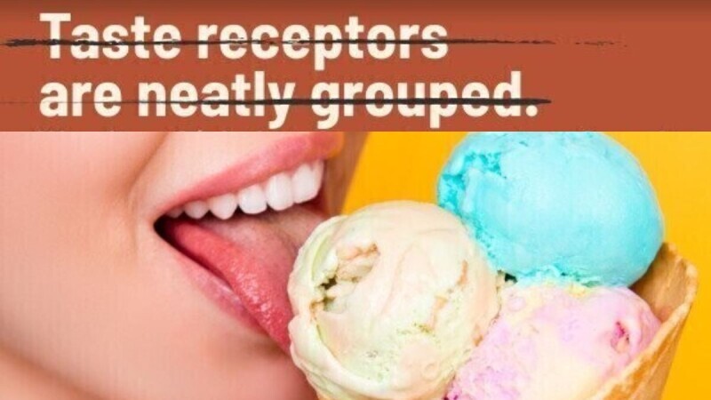 27 Common Myths and Misconceptions You Need to Stop Believing ASAP