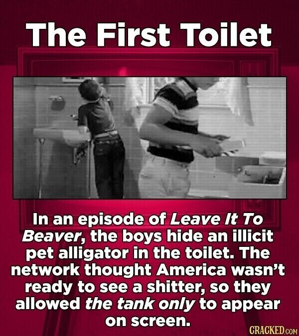 The First Toilet In an episode of Leave It To Beaver, the boys hide an illicit pet alligator in the toilet. The network thought America wasn't ready to see a shitter, so they allowed the tank only to appear on screen. CRACKED.COM
