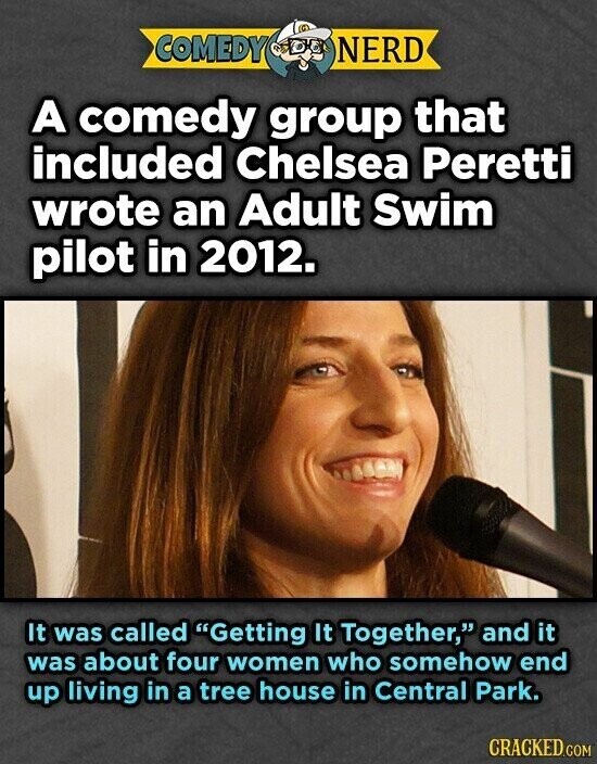 COMEDY NERD A comedy group that included Chelsea Peretti wrote an Adult Swim pilot in 2012. It was called Getting It Together, and it was about four women who somehow end up living in a tree house in Central Park. CRACKED.COM