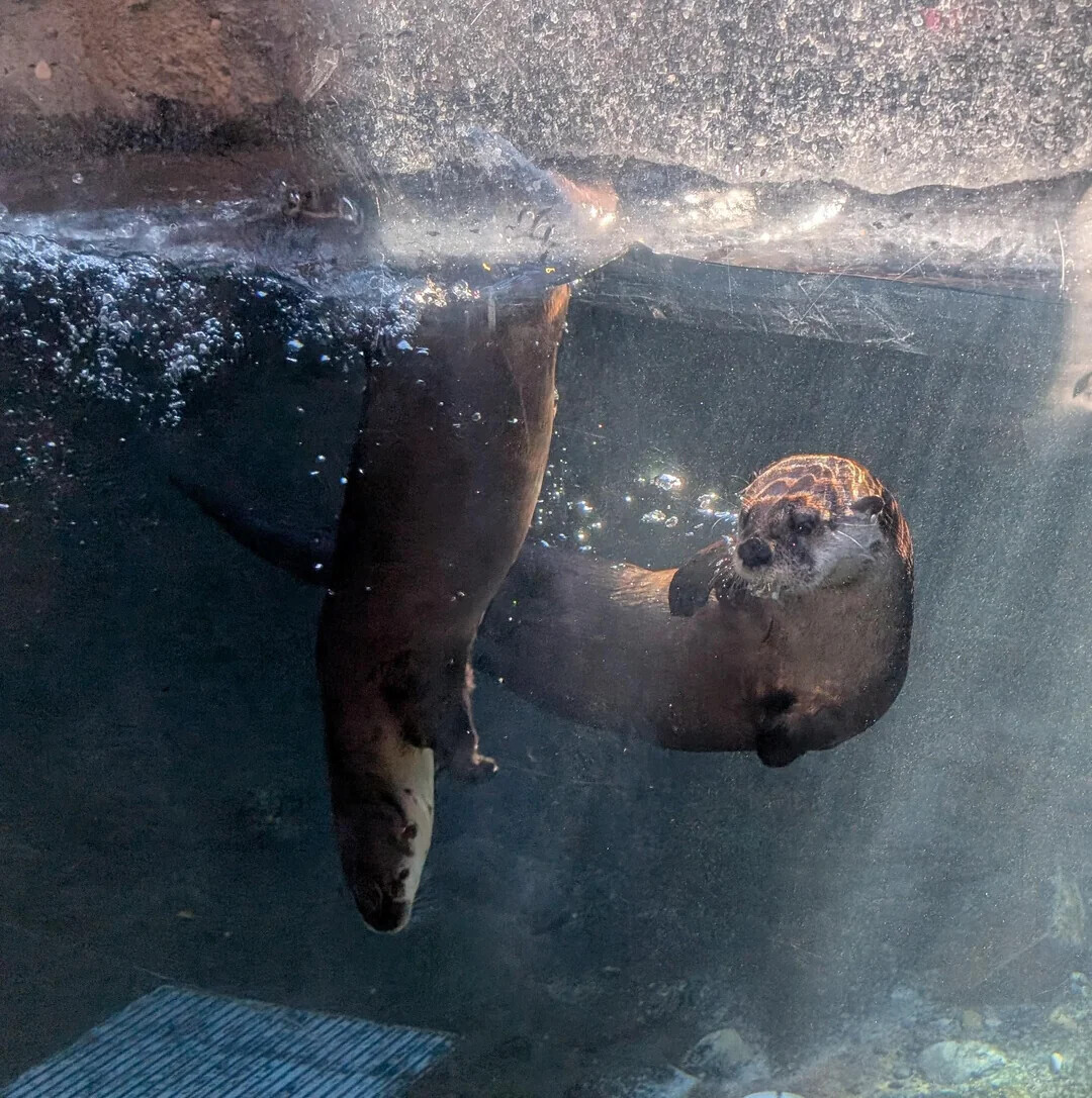 Uncommon Shots From Everyday Life That Look Normal