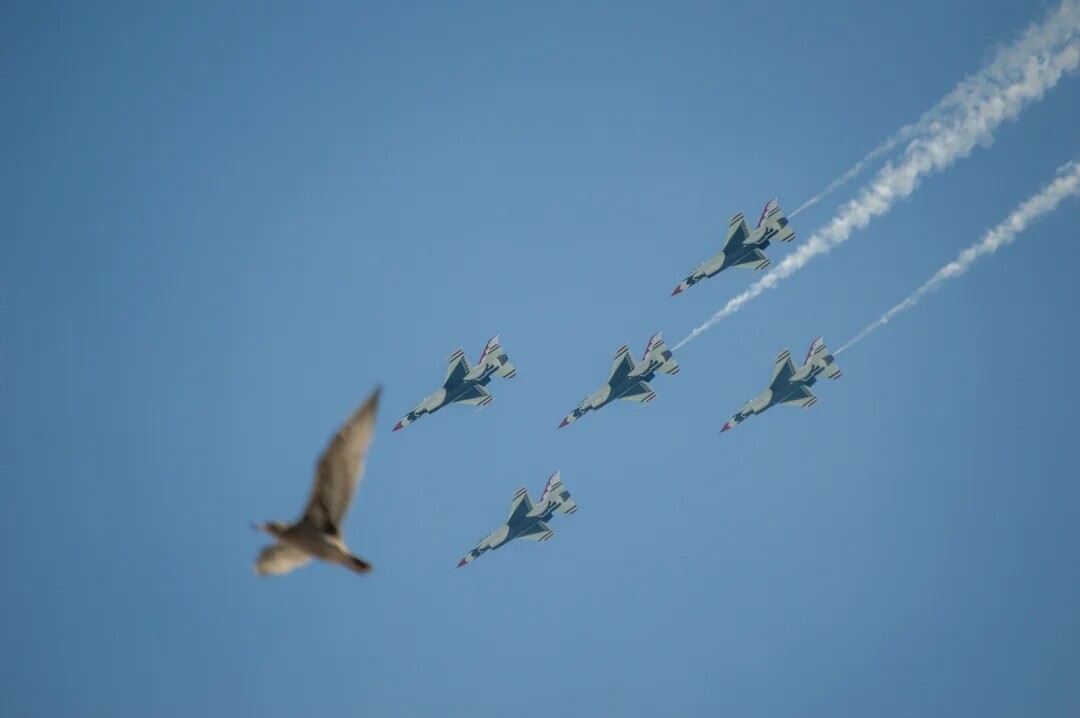 Unsettling Coincidences People Accidentally Captured