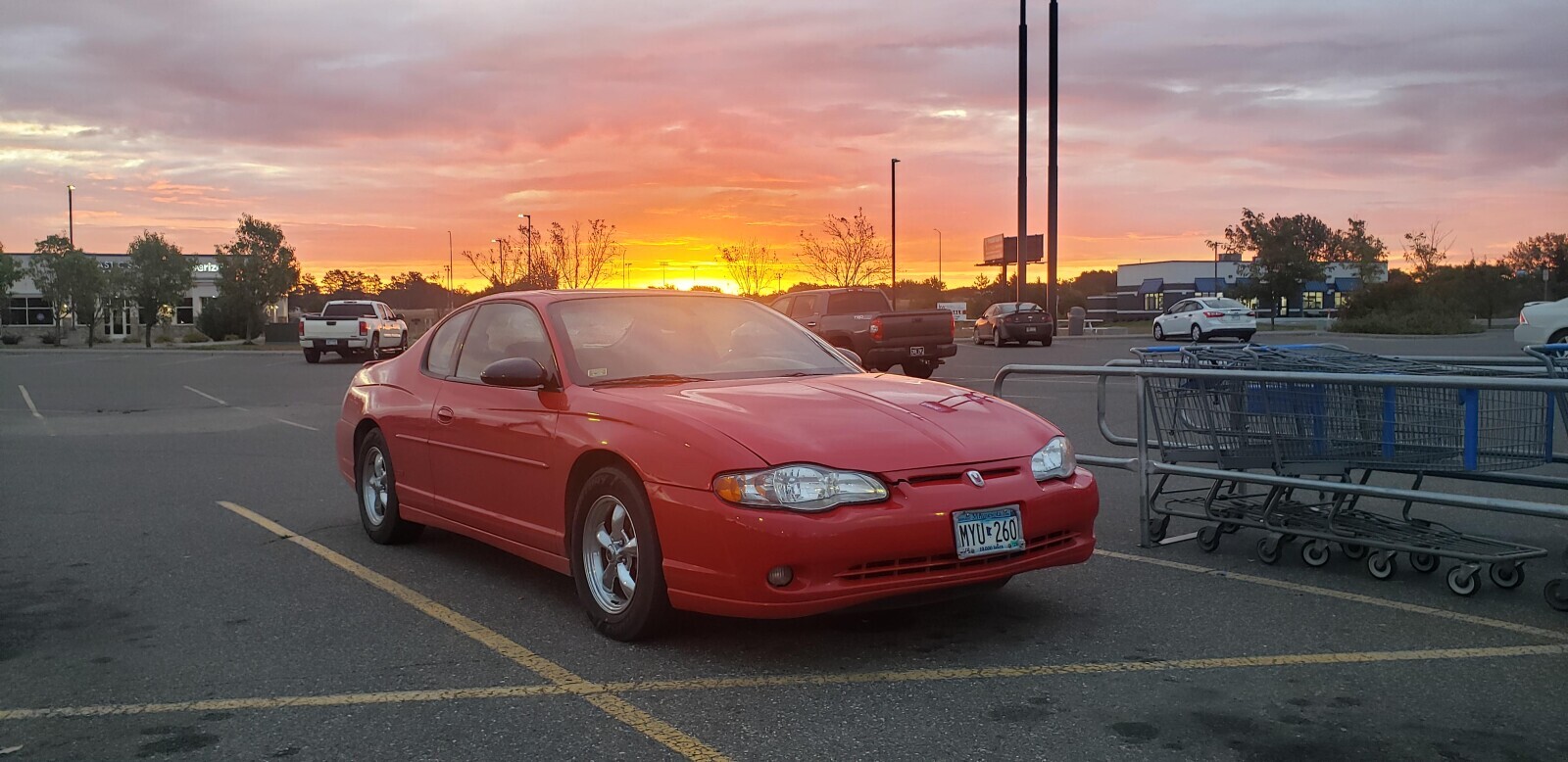 eriz Minnesota MYU260 - 10.000 lites دة