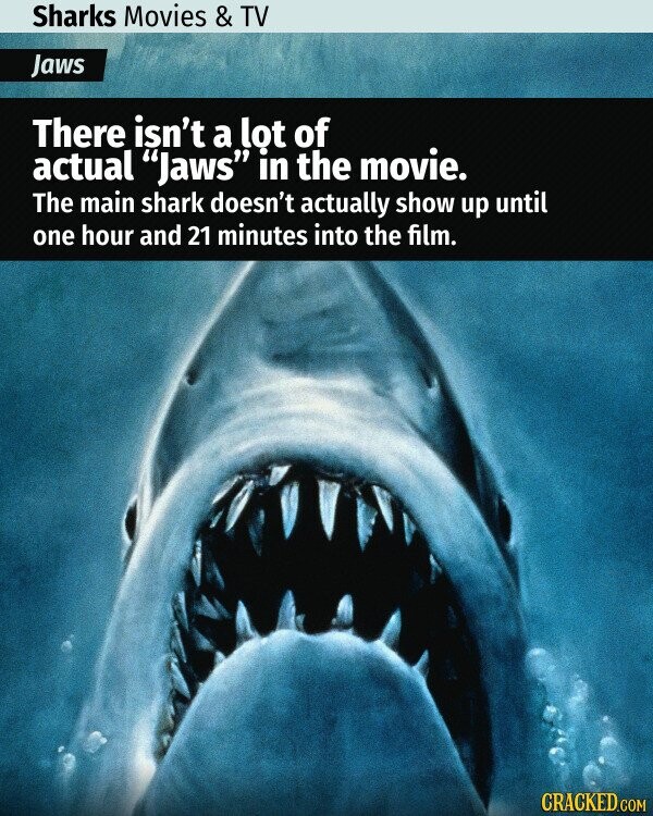 20 Facts About Sharks in Movies & TV To Sink Our Teeth Into 
