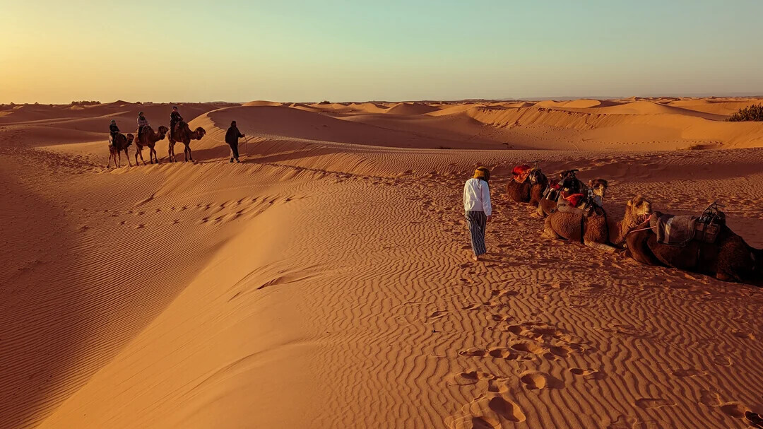 Uncommon Shots From Everyday Life That Look Normal