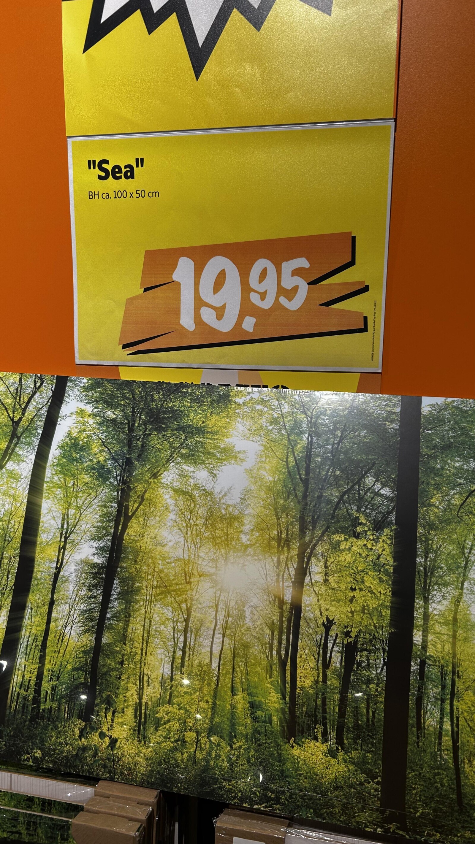 Sea BH ca. 100 X 50 cm 19.95 10554625