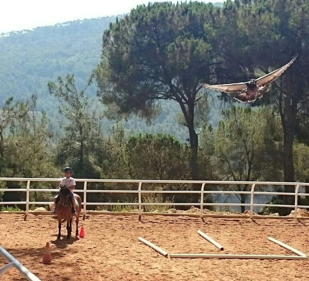 Photos Taken from the Before Disaster Collection