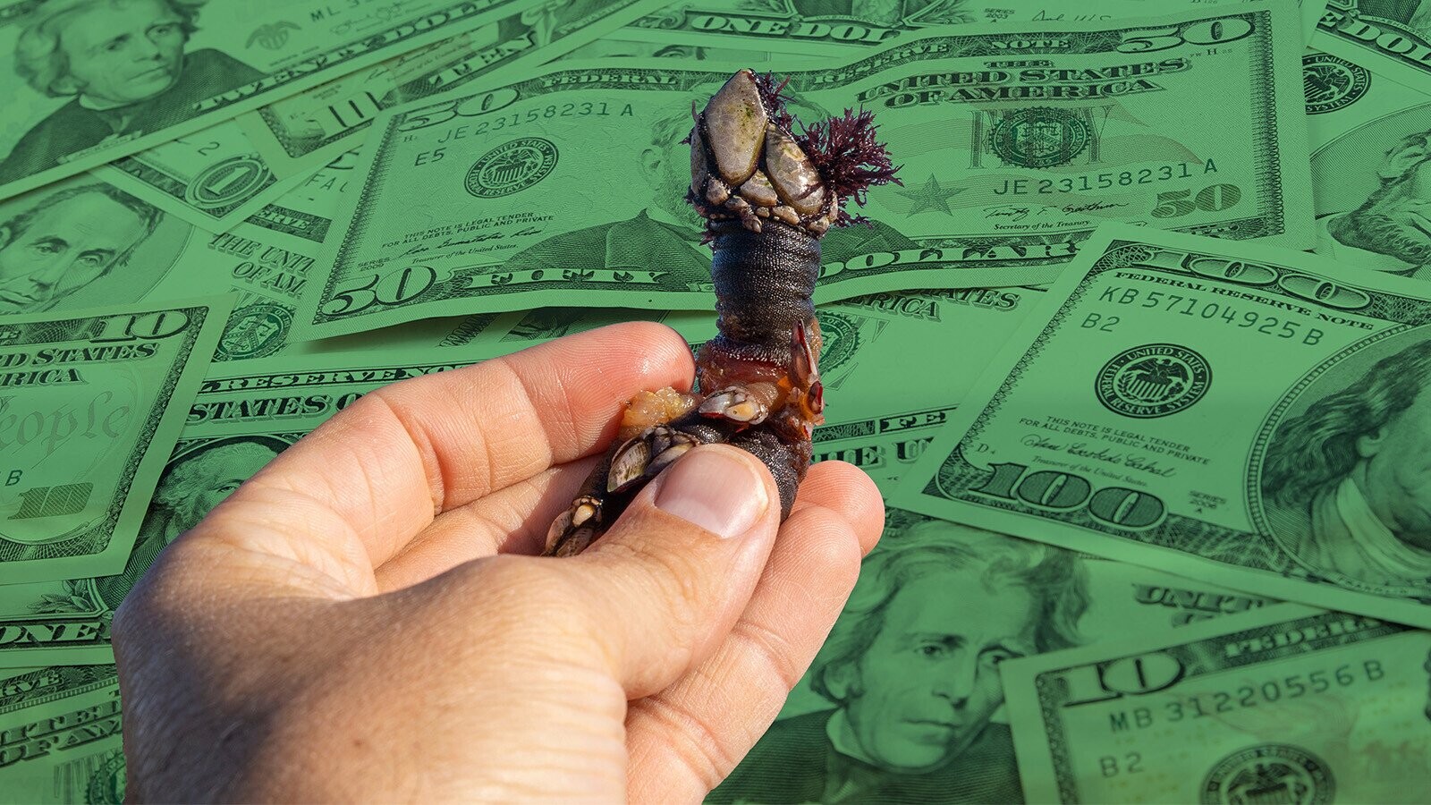 10 Crazy Expensive Ingredients That Aren’t Saffron or Truffles