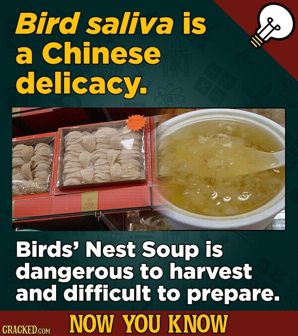 Bird saliva is a Chinese delicacy. Birds' Nest Soup is dangerous to harvest and difficult to prepare. NOW YOU KNOW CRACKED.COM