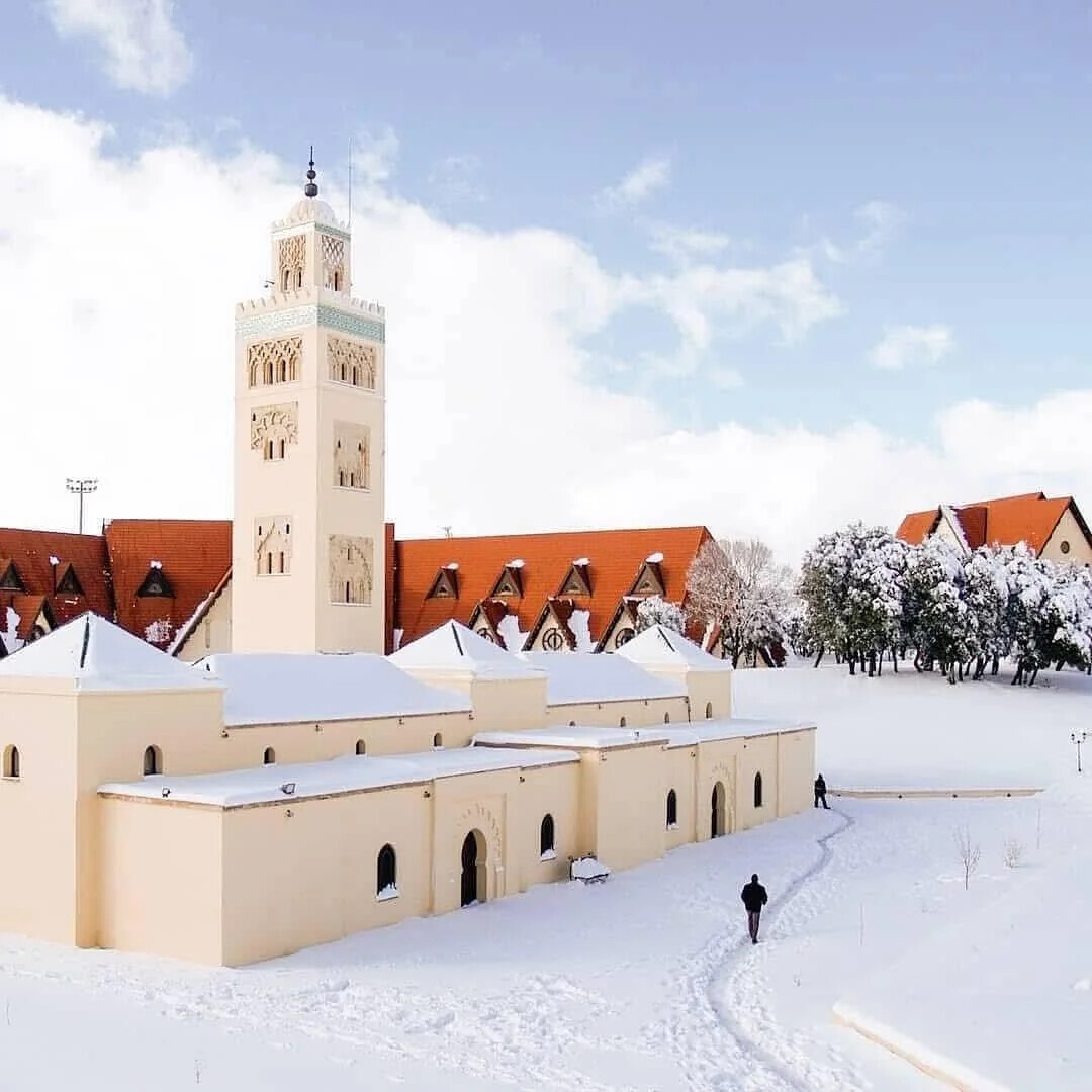 Uncommon Shots From Everyday Life That Look Normal