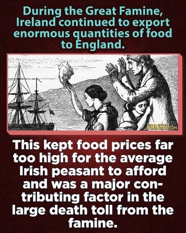 During the Great Famine, Ireland continued to export enormous quantities of food to England. GRAGKED COM This kept food prices far too high for the average Irish peasant to afford and was a major con- tributing factor in the large death toll from the famine.