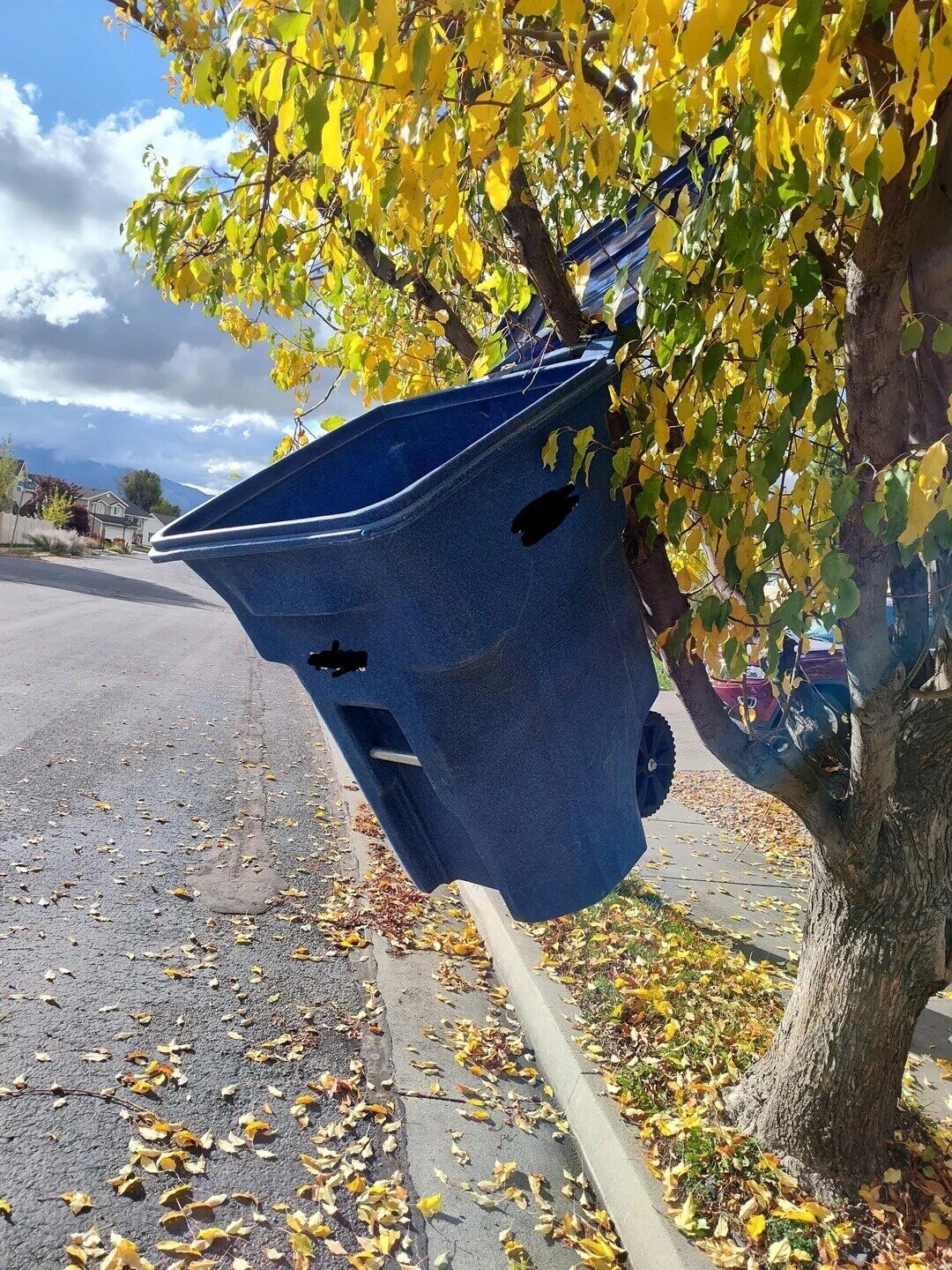 Photos That Show the Consequences of Cutting Corners