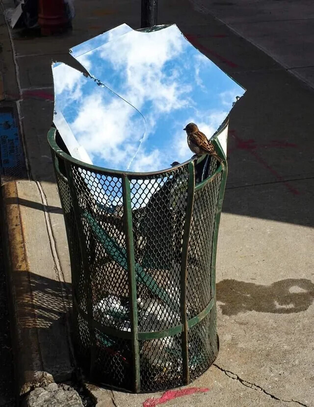 Photos Where Daily Life Feels Too Surreal to Be Real