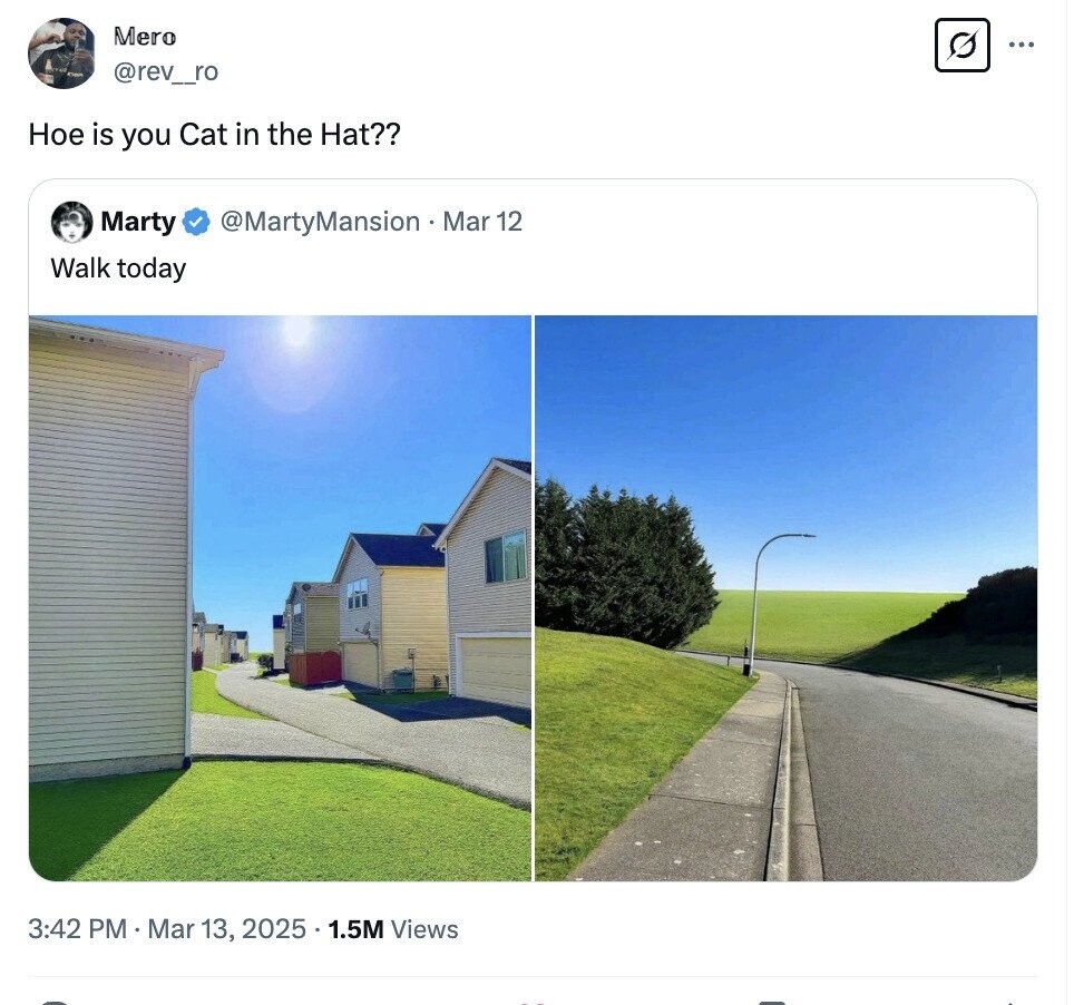 Mero ... @rev_ro Ное is you Cat in the Hat?? Marty @MartyMansion - Mar 12 Walk today 3:42 PM Mar 13, 2025.1.5M Views 