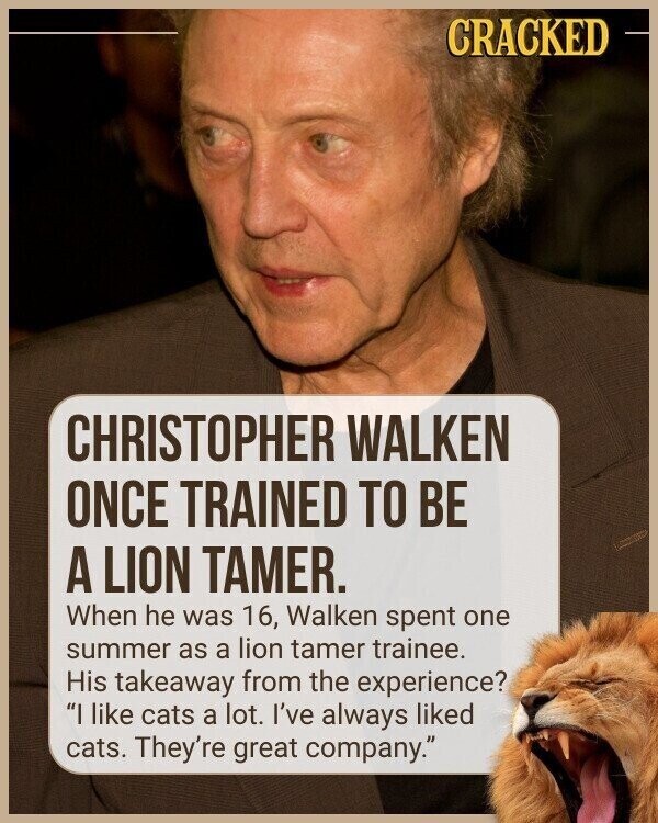 CRACKED CHRISTOPHER WALKEN ONCE TRAINED TO BE A LION TAMER. When he was 16, Walken spent one summer as a lion tamer trainee. His takeaway from the experience? I like cats a lot. I've always liked cats. They're great company.