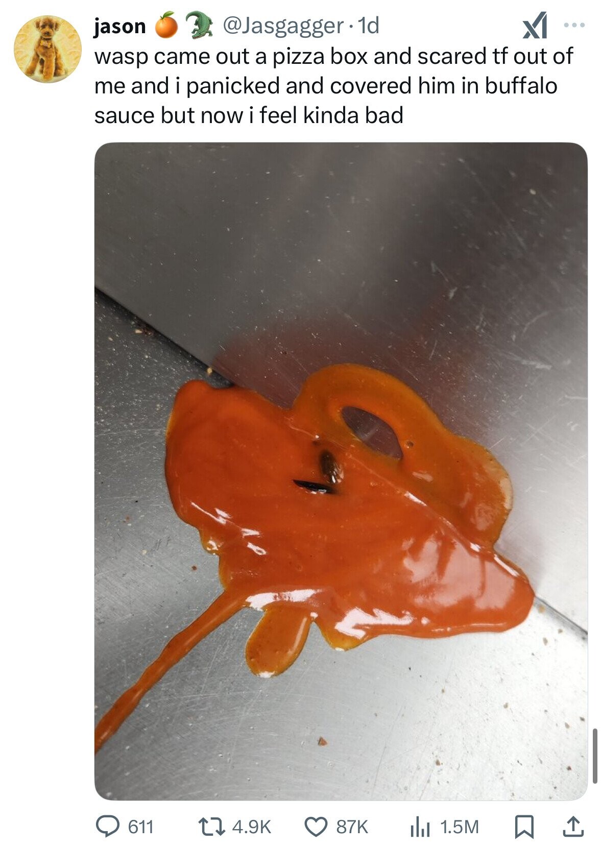 jason @Jasgagger.1d XI ... wasp came out a pizza box and scared tf out of me and i panicked and covered him in buffalo sauce but now i feel kinda bad 1.5M 611 4.9K 87K 