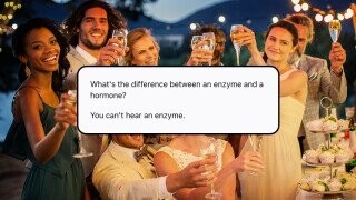 22 Utterly Filthy Jokes to Slip Into Your Next Wedding Speech If You’re Nasty