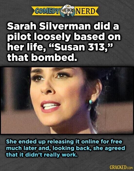 COMEDY NERD Sarah Silverman did a pilot loosely based on her life, Susan 313, that bombed. She ended up releasing it online for free much later and, looking back, she agreed that it didn't really work. CRACKED.COM