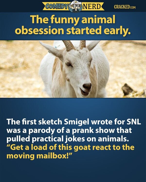 COMEDY NERD CRACKED.COM The funny animal obsession started early. The first sketch Smigel wrote for SNL was a parody of a prank show that pulled practical jokes on animals. Get a load of this goat react to the moving mailbox!