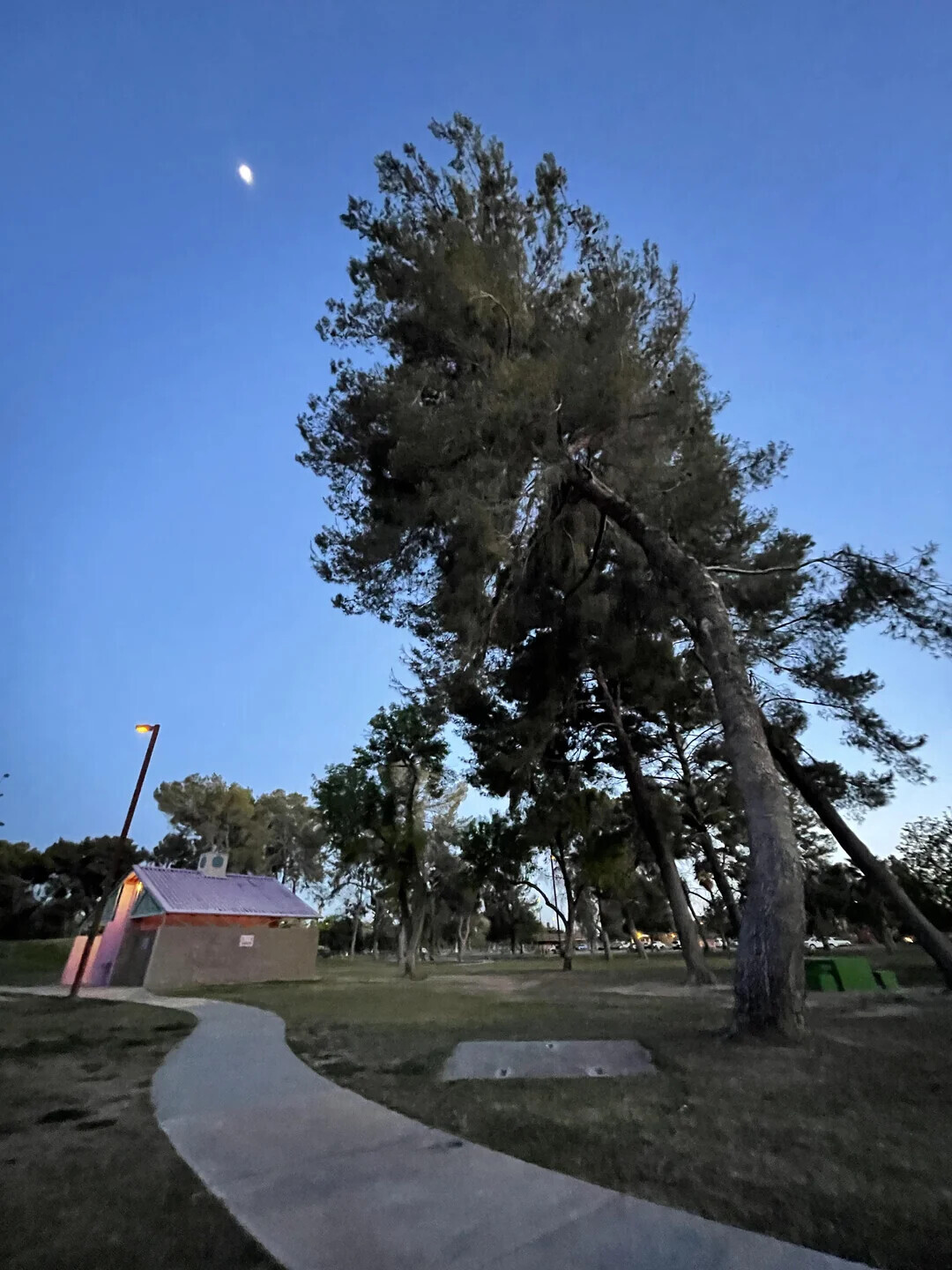 Photos Where Daily Life Feels Too Surreal to Be Real