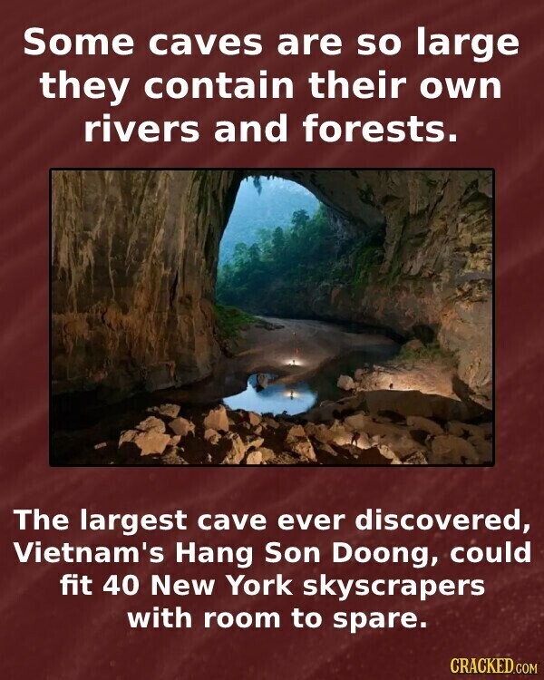 Some caves are so large they contain their own rivers and forests. The largest cave ever discovered, Vietnam's Hang Son Doong, could fit 40 New York skyscrapers with room to spare. CRACKED.COM