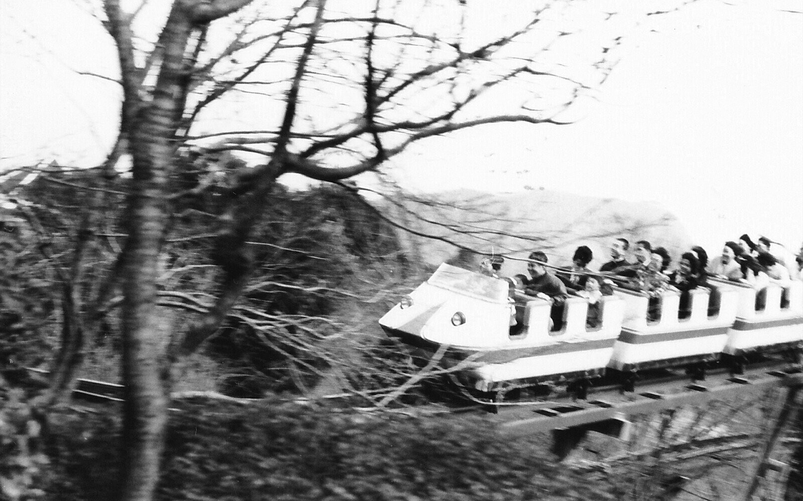 Up and Down, Side to Side: Roller Coasters of the 1970s