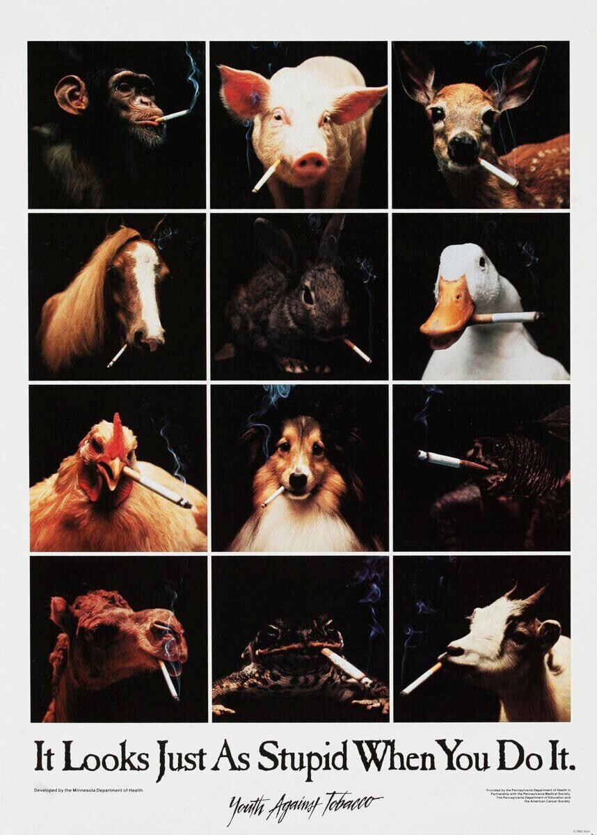 It Looks Just As Stupid When You Do It. Developed by the Minnesota Department of Health Provider Partnership Medical fl with the = the . youth Against Tobacco ! Permanivania American Society 