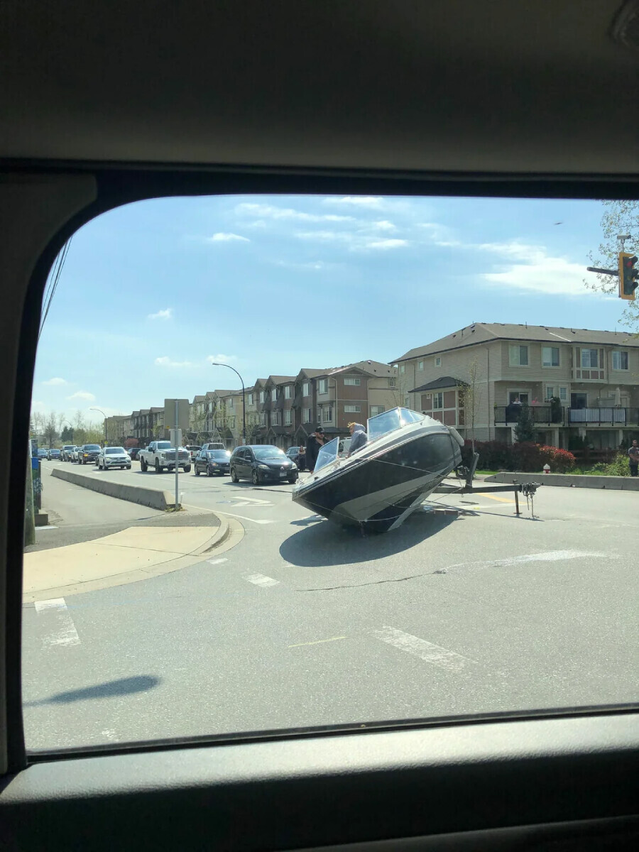 Photos That Will Have Darwin Rolling Over in His Grave