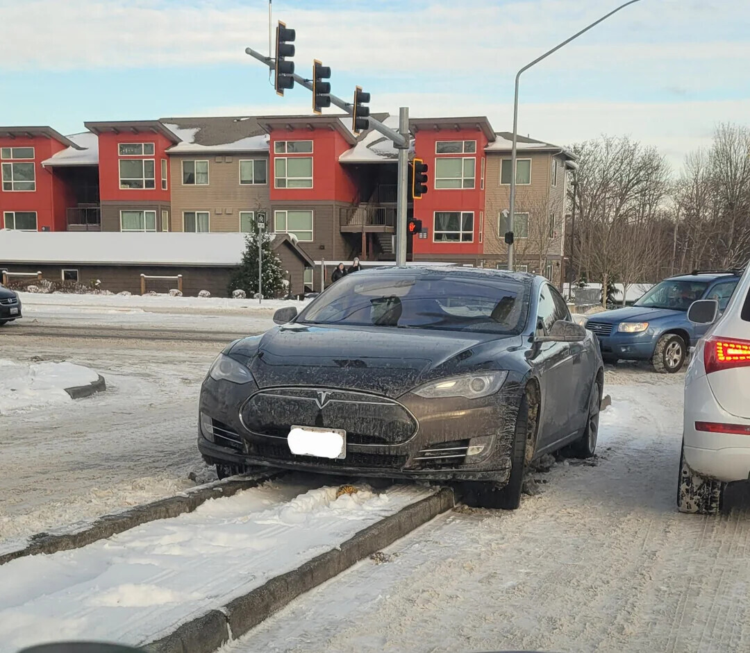 People Who Forgot How to Drive the Second Snow Fell