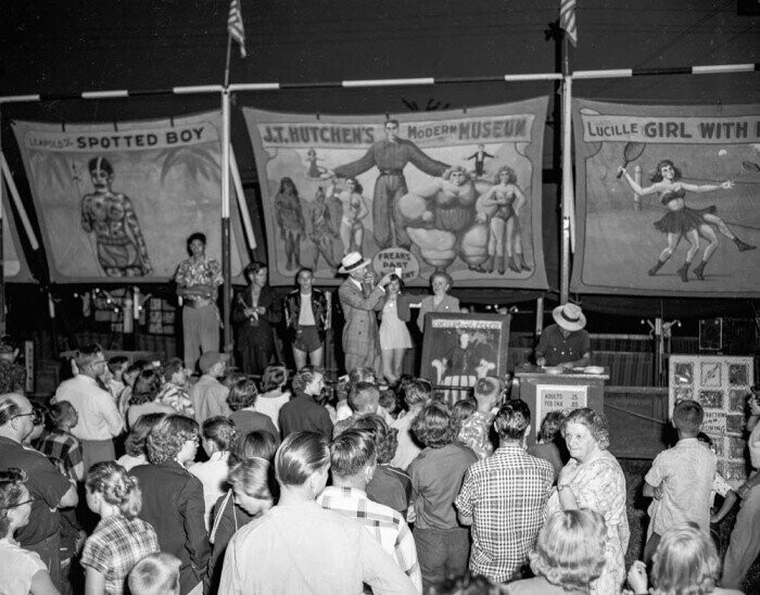 Photos Where County Fairs Live Up to Their Reputation