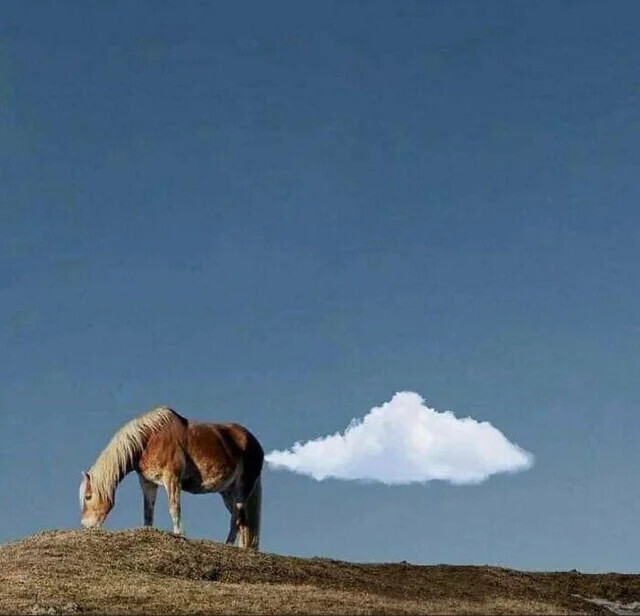 Photos Where Daily Life Feels Too Surreal to Be Real