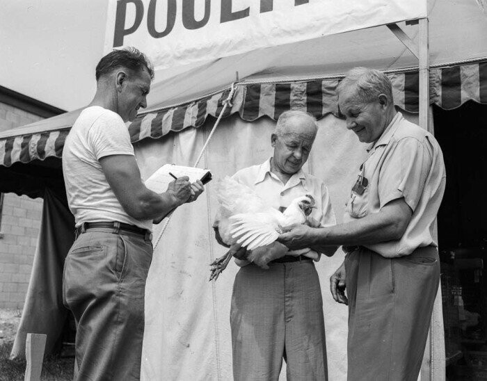 Photos Where County Fairs Live Up to Their Reputation