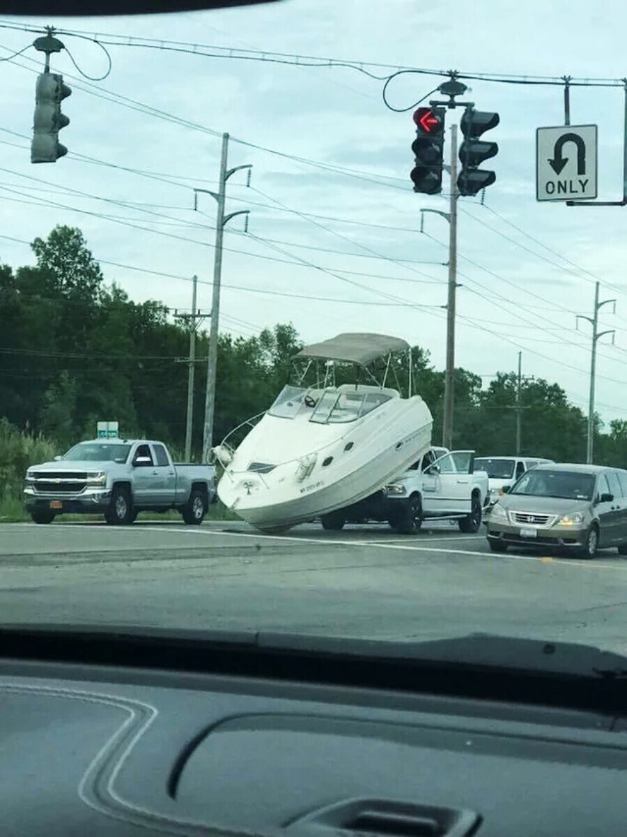 Photos That Will Have Darwin Rolling Over in His Grave