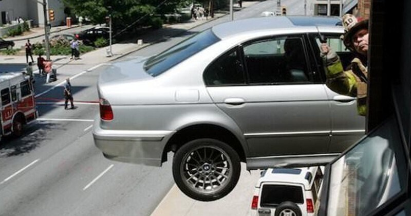 Photos That Will Have Darwin Rolling Over in His Grave