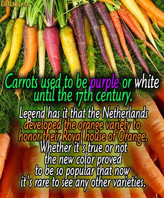 CRACKED COM Carrots used to be purple or white until the 17th century. Legend has it that the Netherlands honor developed Whether their Royal the orange S house true or variety of not Orange. to the new color proved to be SO popular that now it's rare to see any other varieties.