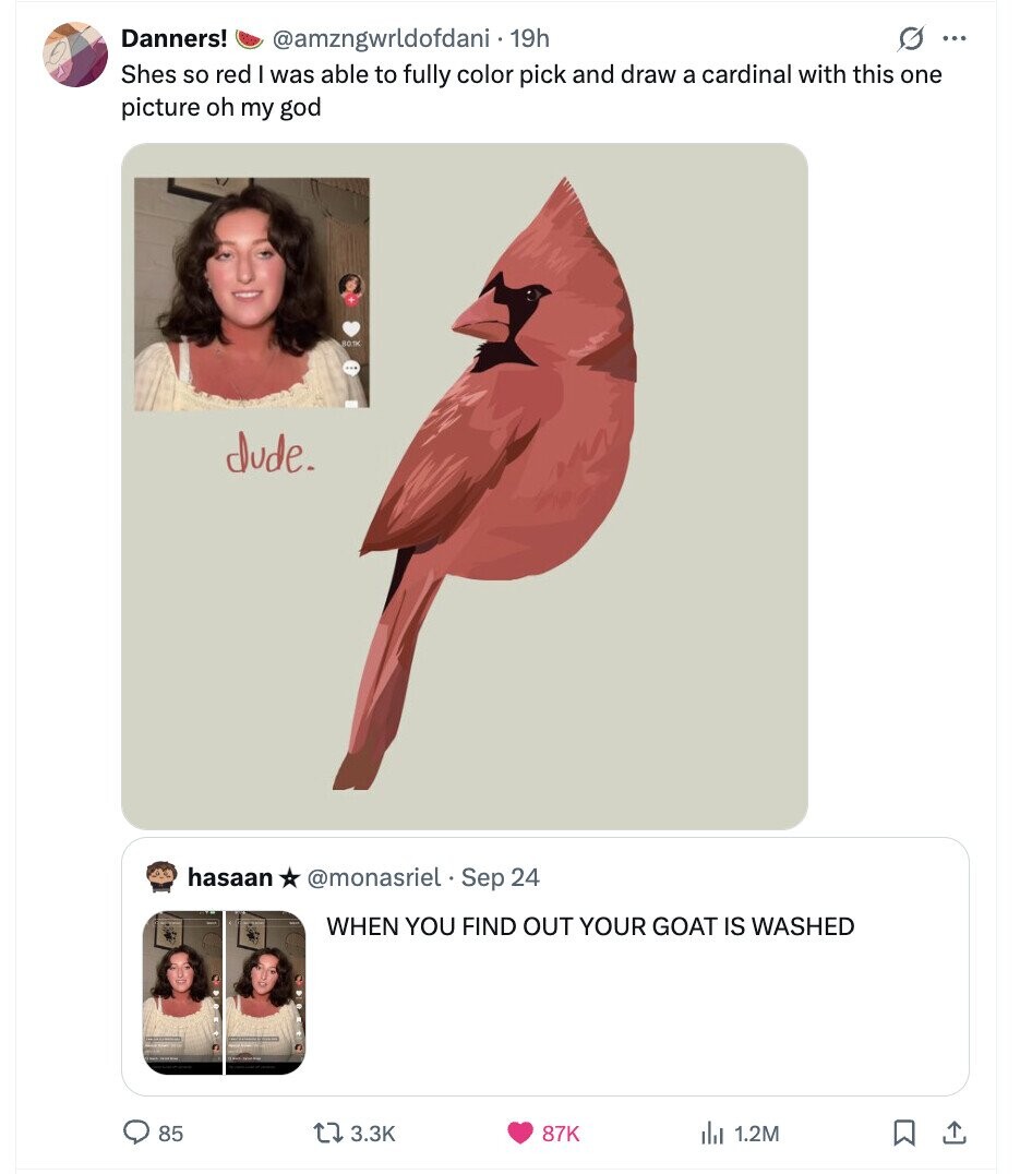 Danners! @amzngwrldofdani. 19h G ... Shes so red I was able to fully color pick and draw a cardinal with this one picture oh my god 801K dude. hasaan @monasriel Sep 24 WHEN YOU FIND OUT YOUR GOAT IS WASHED 85 3.3K 87K del 1.2M