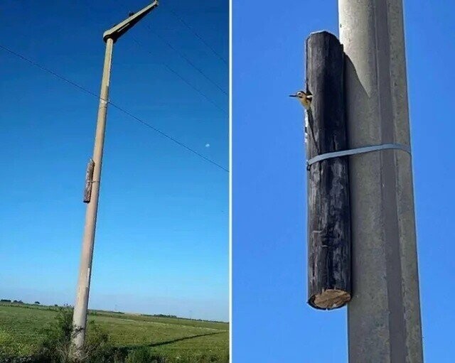 Candid Photos Looking Behind the Scenes at Life