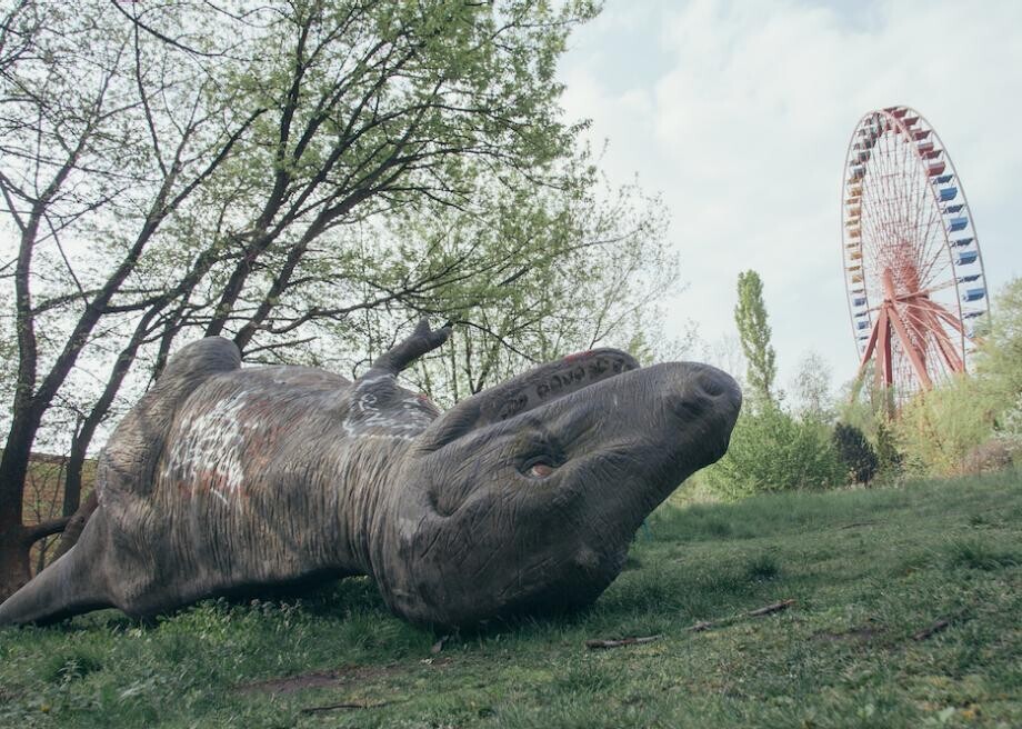 Tragic Photos From Places Time Brought Backwards