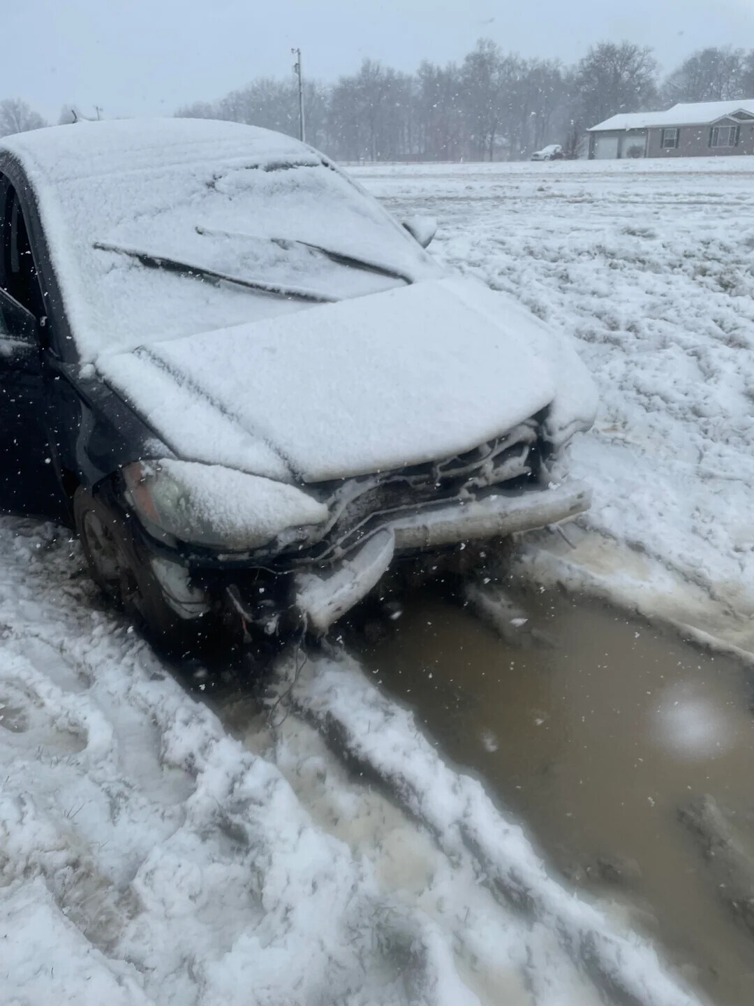 People Who Forgot How to Drive the Second Snow Fell