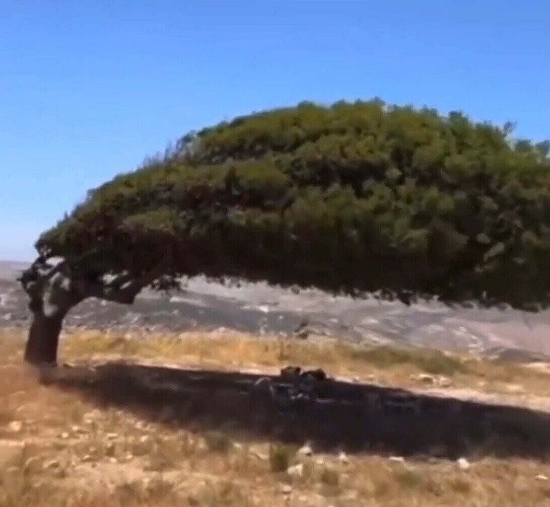 Candid Photos Looking Behind the Scenes at Life