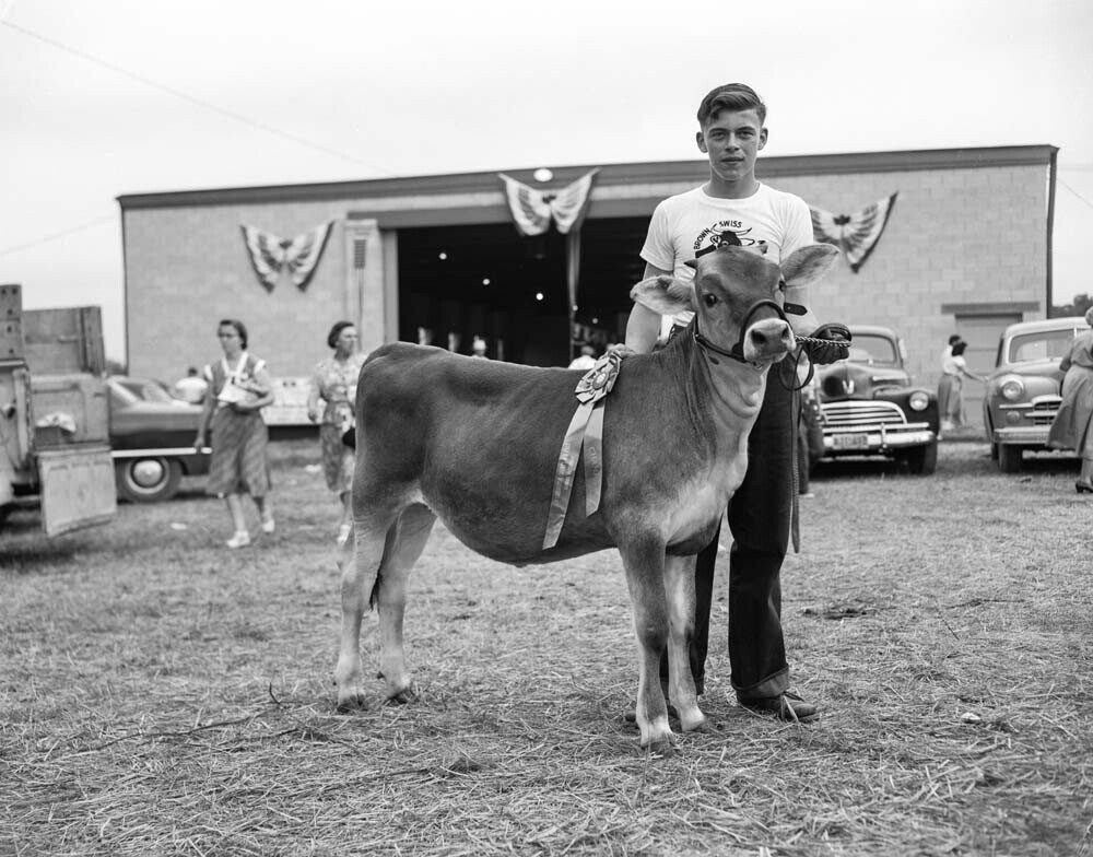 Photos Where County Fairs Live Up to Their Reputation