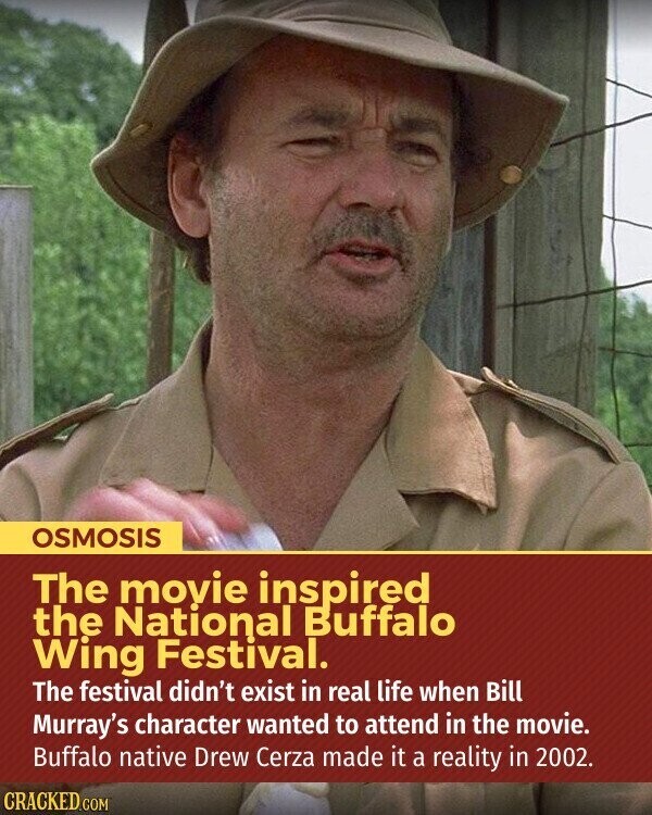 OSMOSIS The movie inspired the National Buffalo Wing Festival. The festival didn't exist in real life when Bill Murray's character wanted to attend in the movie. Buffalo native Drew Cerza made it a reality in 2002. CRACKED.COM