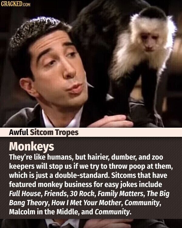 CRACKED.COM Awful Sitcom Tropes Monkeys They're like humans, but hairier, dumber, and zoo keepers will stop us if we try to throw poop at them, which is just a double-standard. Sitcoms that have featured monkey business for easy jokes include Full House, Friends, 30 Rock, Family Matters, The Big Bang Theory, How I Met Your Mother, Community, Malcolm in the Middle, and Community.