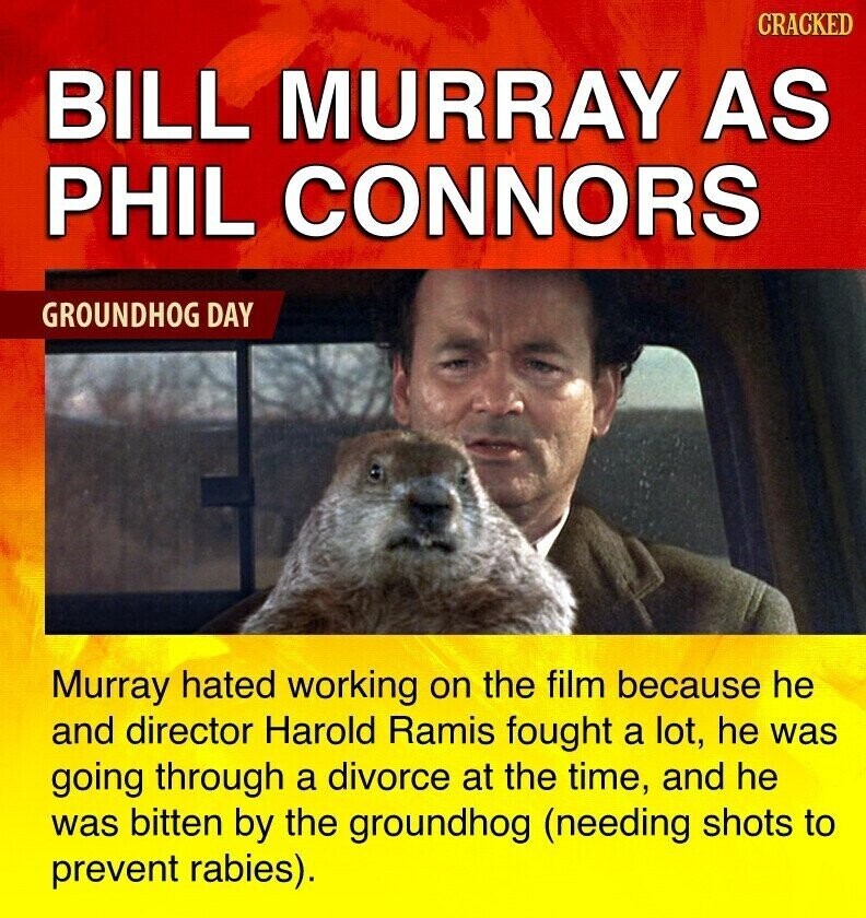 CRACKED BILL MURRAY AS PHIL CONNORS GROUNDHOG DAY Murray hated working on the film because he and director Harold Ramis fought a lot, he was going through a divorce at the time, and he was bitten by the groundhog (needing shots to prevent rabies).