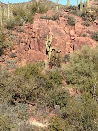 Photos Where Daily Life Feels Too Surreal to Be Real