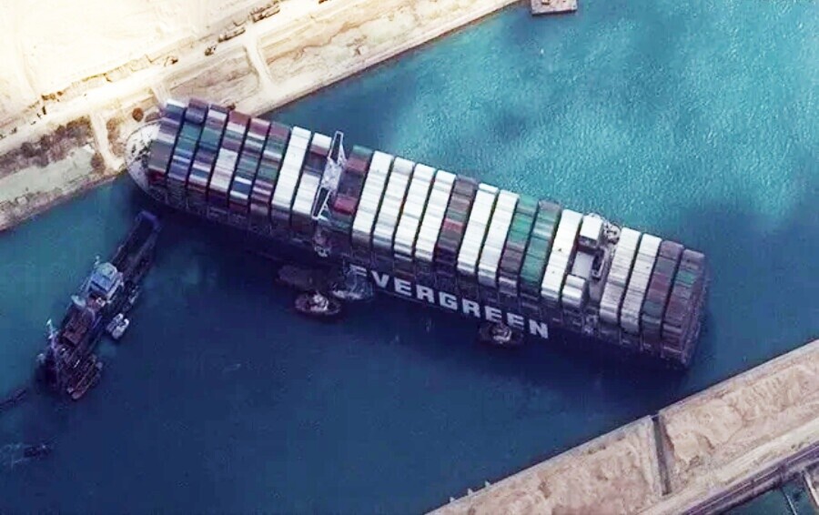 Photos That Will Have Darwin Rolling Over in His Grave