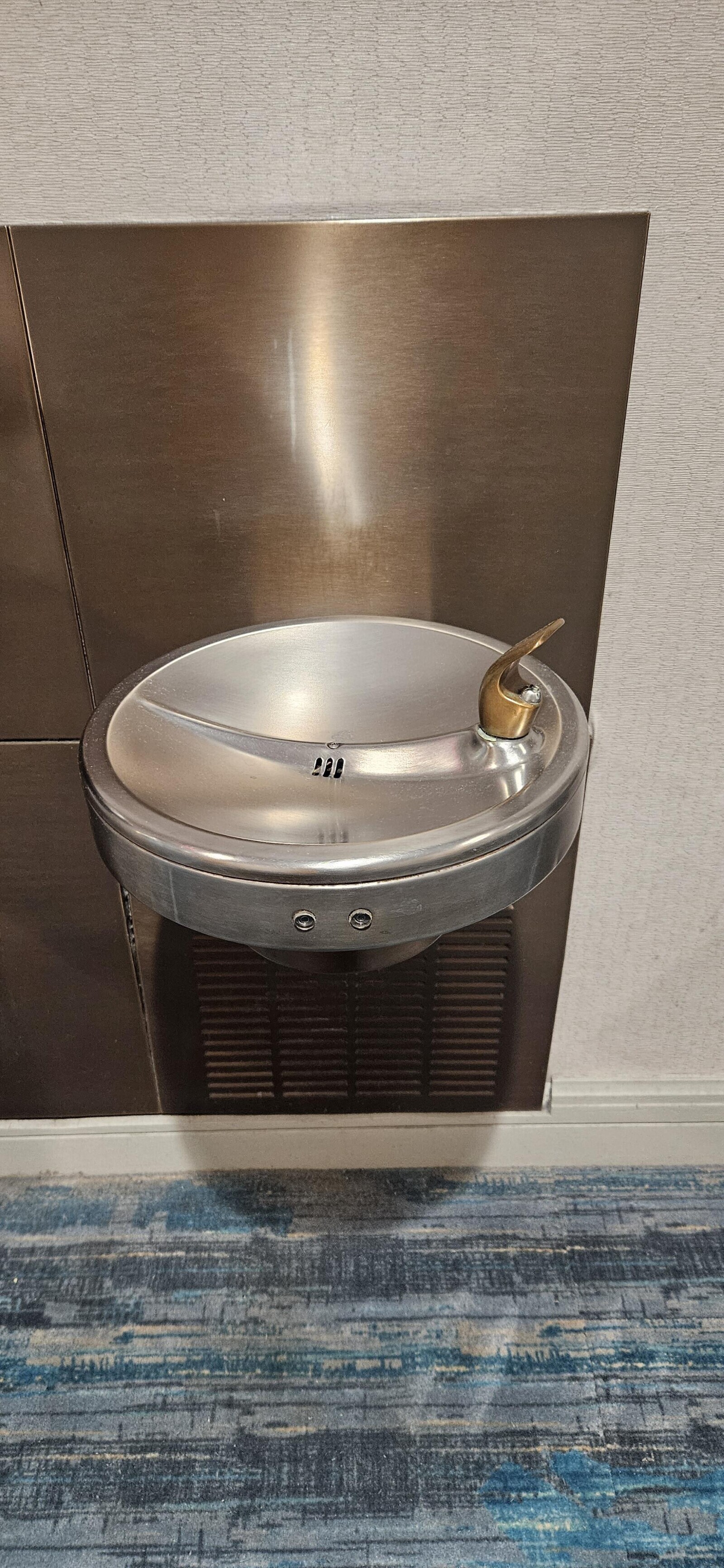 20 Photos Where Common Sense Quit On the Spot