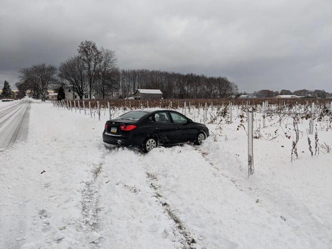 People Who Forgot How to Drive the Second Snow Fell