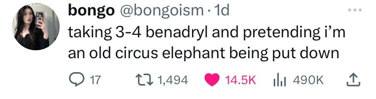 bongo @bongoism 1d taking 3-4 benadryl and pretending i'm an old circus elephant being put down 17 1,494 14.5K du 490K